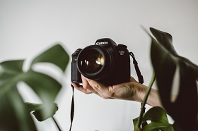 hand holding a camera with green leaves in the foreground