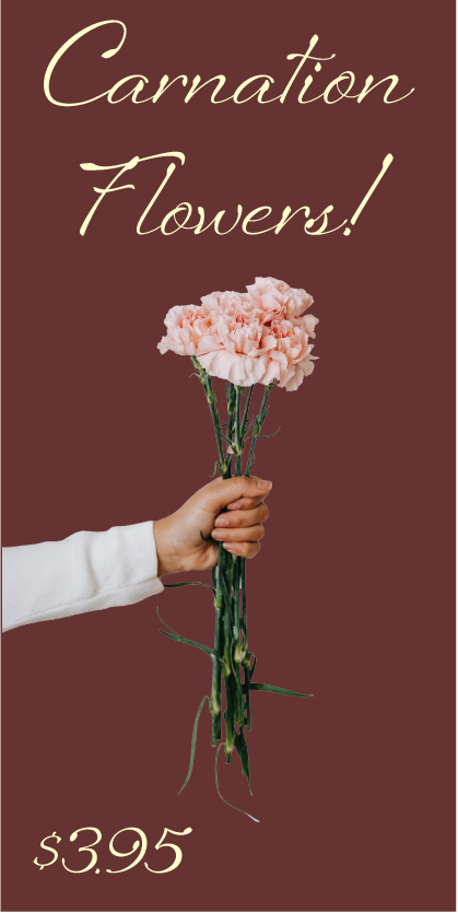 carnation flowers $3.95